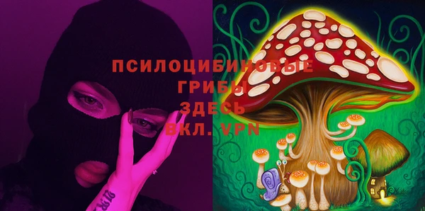 ешки Алзамай