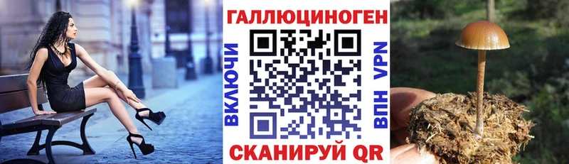 Псилоцибиновые грибы Psilocybe  omg ONION  Верхняя Салда 
